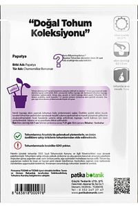 100 Adet Tıbbi Aromatik Papatya Tohumu ürün fotoğrafı