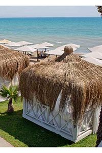 Hasır Püskül Otu Saçaklı Ot Dekoratifi Ve Çin Otu 2 Metre X 1 Metre ürün fotoğrafı