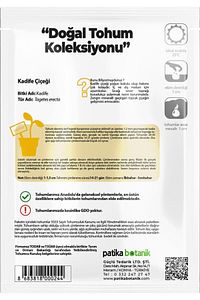 50 Adet Kadife Çiçek Tohumu (TAGETES L.) ürün fotoğrafı