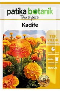 50 Adet Kadife Çiçek Tohumu (TAGETES L.) ürün fotoğrafı