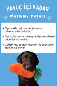 Tombik Havuç Köpek Oyuncağı Turuncu Renkli Ve Sesli Peluş Köpek Oyuncakları Köpek Uyku Arkadaşı ürün fotoğrafı