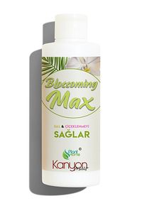 Planthome Powermix ve BlossomingMax Birlikte Al Set - En İyi Orkide Bakım Seti ürün fotoğrafı
