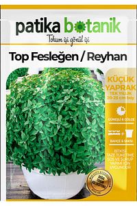 100 Adet Top Fesleğen - Top Reyhan (OCİMUM BASİLİCUM) Tohumu ürün fotoğrafı