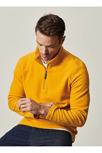 Erkek Sarı Anti-pilling Tüylenme Yapmayan Standart Fit Dik Yaka Soğuk Geçirmez Polar Sweatshirt ürün fotoğrafı