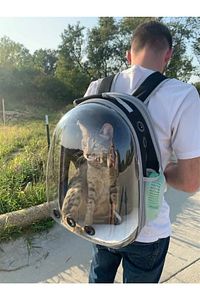 Elips Kedi Taşıma Çantası Siyah El Ve Sırt Çantası 6 Hava Kanalı 2 Fileli Cep Kedi Taşıma Çantası ürün fotoğrafı
