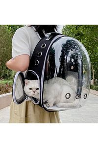 Elips Kedi Taşıma Çantası Siyah El Ve Sırt Çantası 6 Hava Kanalı 2 Fileli Cep Kedi Taşıma Çantası ürün fotoğrafı