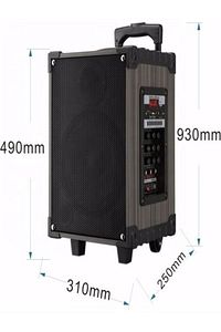 Lt-910 Şarjlı Kumandalı Çift Mikrofonlu Hoparlör Karaoke Sistemi 80 Watt Taşınabilir Amfi Hoparlör ürün fotoğrafı