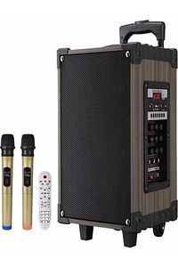 Lt-910 Şarjlı Kumandalı Çift Mikrofonlu Hoparlör Karaoke Sistemi 80 Watt Taşınabilir Amfi Hoparlör ürün fotoğrafı