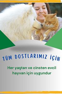 Organik & Vegan, Pratik Pati Temizlik Köpüğü, Kedi Ve Köpek Kuru Durulanmayan Bakım Şampuanı-150ml ürün fotoğrafı