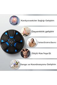 Boks Standı Akıllı Müzikli Boks Makinesi Eldivenli Yetişkin Çocuk Egzersiz Boks Spor Ekipmanı ürün fotoğrafı