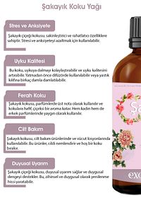 Şakayık Çiçeği Esansiyel Uçucu Koku Yağı Buhurdanlık Difüzör Esansı oda banyo ve dolap parfümü 100ml ürün fotoğrafı