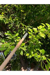 Zeytin Tırmığı - Vidalı Ve Dişli Zeytin Toplama Tarağı - 1 Adet ürün fotoğrafı