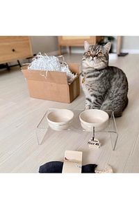 Kedi ve Köpek Dekoratif Seramik Pleksi Mama Ve Su Kabı ürün fotoğrafı