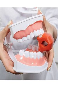 Jawline Exerciser (çene Egzersiz Aleti) | Jawline Egzersiz Topu ürün fotoğrafı