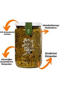 Deniz Börülcesi Turşusu-720 Gr. (ev Yapımı) ürün fotoğrafı