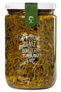 Akdeniz Otları Turşuları Deniz Börülcesi Kaya Koruğu Yağlı Zahter 720 gr Ev yapımı Ekonomik ürün fotoğrafı
