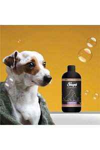 Petcare Lavanta Yağlı Evcil Hayvan Şampuanı 3x500 ml ürün fotoğrafı