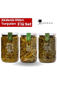 Akdeniz Otları Turşuları Deniz Börülcesi Kaya Koruğu Yağlı Zahter 720 gr Ev yapımı Ekonomik ürün fotoğrafı