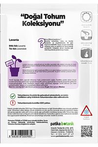 100 Adet Lavanta (LAVANDULA) Çiçek Tohumu ürün fotoğrafı