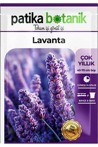 100 Adet Lavanta (LAVANDULA) Çiçek Tohumu ürün fotoğrafı