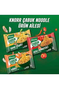 Çabuk Tavuk Çeşnili Noodle 66 gr X 8 Adet ürün fotoğrafı