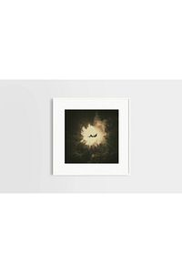 Fall, 30x30, Dijital Çizim ürün fotoğrafı