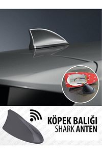 Balık Sırtı Köpek Balığı Balina Gerçek Anten Siyah ürün fotoğrafı