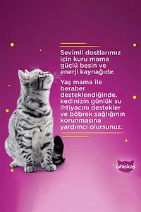 Yavru Kümes Hayvanlı Poşet Kedi Mama 85 gr X 24 ürün fotoğrafı