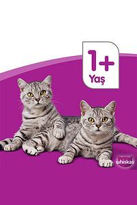 Yavru Kümes Hayvanlı Poşet Kedi Mama 85 gr X 24 ürün fotoğrafı
