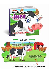 Diytoy 0-3 Yaş 6'lı Hayvanlar Ilk Kitaplarım Eğitici Bebek Kitapları Setim Bebeğimin Ilk Kitapları ürün fotoğrafı