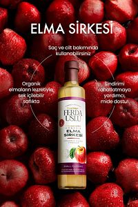 1 Yıl Dinlendirilmiş Organik Içimlik Elma Sirkesi Doğal Fermantasyon Apple Cider Vinegar 500 ml ürün fotoğrafı