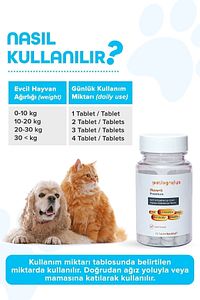 Premium Move G Glucosamine-glukozamin Kedi Ve Köpek Için Eklem Sağlığını Destekleyici Tablet ürün fotoğrafı