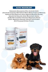 Premium Move G Glucosamine-glukozamin Kedi Ve Köpek Için Eklem Sağlığını Destekleyici Tablet ürün fotoğrafı