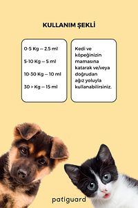Fish Oil 200 ml Kedi Ve Köpek Balık Yağı Evcil Hayvan Omega 3 Ve 6 Içerikli Norveç Somon Bağışıklık ürün fotoğrafı