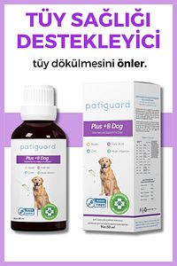 Plus B For Dogs Köpekler Için Tüy Dökülmesi Engelleyici Önleyici Biyotin Tüy Sağlığı Damlası 50 ml ürün fotoğrafı