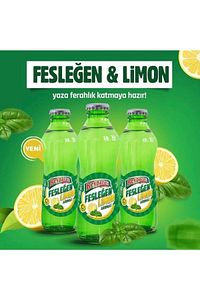 Fesleğen & Limon Aromalı Soda 24 Adet 200 ml ürün fotoğrafı