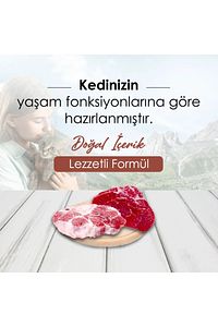 Dana Etli Yetişkin Kedi Maması 10 Kg ürün fotoğrafı