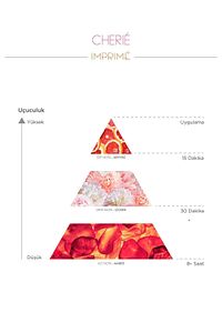 Cherié Edp Kadın Parfüm 50ml | Çiçeksi Ve Fresh | Çilek, Ananas, Şakayık, Müge, Yasemin, Amber ürün fotoğrafı