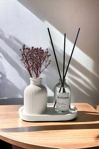 Dekoratif Mini Pampas Kuru Çiçek Vazosu Fresh Soft Oda Kokusu Standlı Set ürün fotoğrafı
