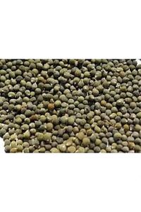 Bamya Tohumu Yerli 1 Kg (ilaçsız- Yenilebilir) 1. Kalite Balıkesir Yeni Mahsül ürün fotoğrafı