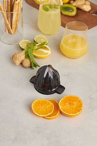 Freshmix Inox Narenciye Sıkacağı 601 ürün fotoğrafı