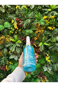 Simli Alkolsuz Içecek Yaban Mersini & Ananas Aromalı Şampanya* ürün fotoğrafı
