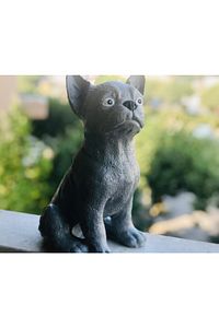 Dekoratif Köpek Biblosu ürün fotoğrafı