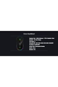 Game Over Rgb Kablosuz Şarjlı Profesyonel Fps Gaming Oyuncu Mouse ürün fotoğrafı