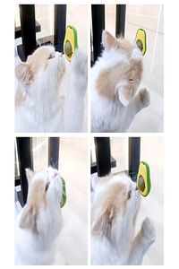 Avokado Catnip Avokado Kedi Çimi Topu Avokado Kedi Nanesi Oyuncağı ürün fotoğrafı