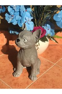 Dekoratif Köpek Biblosu ürün fotoğrafı
