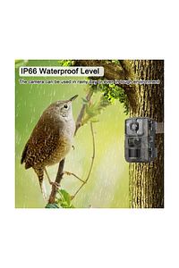 Fotokapan Kamera 16mp 1080p,3 Sensörlü 90 Derece Doğa Ve Outdoor Gece Görüşlü Fotokapan ürün fotoğrafı