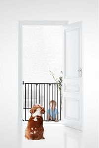 Babygo 62-102 Cm Metal Uzayan Güvenlik Kapısı Siyah ürün fotoğrafı