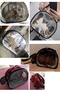 Elips Kedi Taşıma Çantası El Ve Sırt Çantası 6 Hava Kanalı 2 Fileli Cep Kedi Taşıma Çantası Astronot ürün fotoğrafı