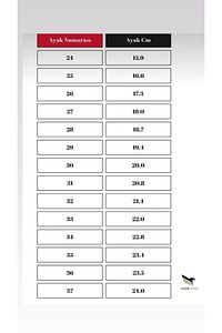 Deri Yarım Ritmik Cimnastik Patiği ürün fotoğrafı
